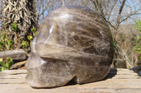 Polished Large Smokey Quartz Skull Carving  x 1 From Madagascar