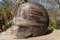 Polished Large Smokey Quartz Skull Carving  x 1 From Madagascar