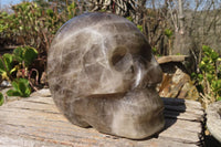 Polished Large Smokey Quartz Skull Carving  x 1 From Madagascar