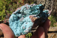 Natural Drusy Chrysocolla Dolomite Specimens x 3 From Likasi, Congo