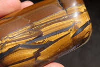 Polished Golden Tigers Eye Free Forms x 6 From Prieska, South Africa