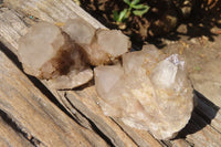 Natural Smokey Phantom Quartz Clusters x 6 From Luena, Congo