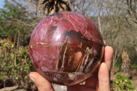 Polished Petrified Wood Sphere x 1 From Mahajanga, Madagascar