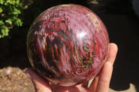 Polished Petrified Wood Sphere x 1 From Mahajanga, Madagascar