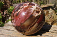 Polished Petrified Wood Sphere x 1 From Mahajanga, Madagascar