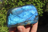 Polished Labradorite Standing Free Forms  x 6 From Tulear, Madagascar