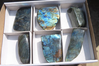 Polished Labradorite Standing Free Forms  x 6 From Tulear, Madagascar