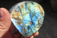 Polished Labradorite Standing Free Forms  x 6 From Tulear, Madagascar