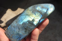 Polished Labradorite Standing Free Forms  x 6 From Tulear, Madagascar