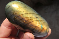 Polished Labradorite Standing Free Forms  x 6 From Tulear, Madagascar