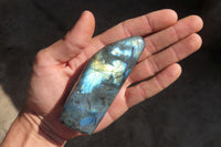 Polished Labradorite Standing Free Forms  x 6 From Tulear, Madagascar