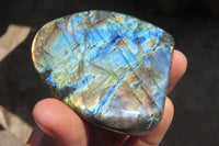 Polished Labradorite Standing Free Forms  x 6 From Tulear, Madagascar