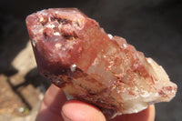 Natural Red Hematoid Quartz Specimens x 12 From Karoi, Zimbabwe