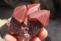 Natural Red Hematoid Quartz Specimens x 12 From Karoi, Zimbabwe