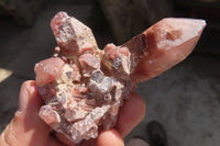 Natural Red Hematoid Quartz Specimens x 12 From Karoi, Zimbabwe