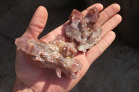 Natural Red Hematoid Quartz Specimens x 12 From Karoi, Zimbabwe