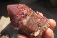 Natural Red Hematoid Quartz Specimens x 12 From Karoi, Zimbabwe