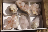 Natural Spirit Cactus Quartz Clusters x 6 From Boekenhouthoek, South Africa