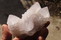 Natural Spirit Cactus Quartz Clusters x 6 From Boekenhouthoek, South Africa