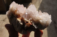 Natural Spirit Cactus Quartz Clusters x 6 From Boekenhouthoek, South Africa