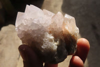 Natural Spirit Cactus Quartz Clusters x 6 From Boekenhouthoek, South Africa