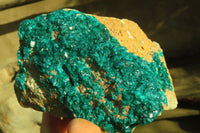 Natural Extra Large Dioptase Dolomite Specimen  x 1 From Congo