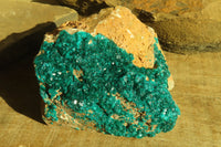 Natural Extra Large Dioptase Dolomite Specimen  x 1 From Congo