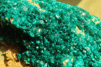 Natural Extra Large Dioptase Dolomite Specimen  x 1 From Congo