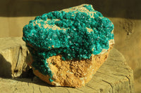 Natural Extra Large Dioptase Dolomite Specimen  x 1 From Congo