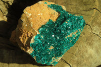 Natural Extra Large Dioptase Dolomite Specimen  x 1 From Congo