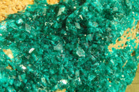 Natural Extra Large Dioptase Dolomite Specimen  x 1 From Congo