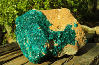 Natural Extra Large Dioptase Dolomite Specimen  x 1 From Congo