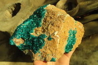 Natural Extra Large Dioptase Dolomite Specimen  x 1 From Congo