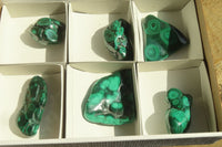 Polished Malacholla Free Forms  x 6 From Congo