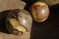 Polished Septaria (Calcite & Aragonite) Spheres  x 6 From Madagascar