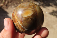 Polished Septaria (Calcite & Aragonite) Spheres  x 6 From Madagascar