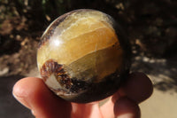 Polished Septaria (Calcite & Aragonite) Spheres  x 6 From Madagascar