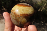 Polished Septaria (Calcite & Aragonite) Spheres  x 6 From Madagascar