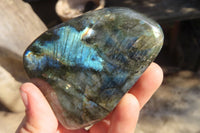 Polished Labradorite Standing Free Forms  x 5 From Tulear, Madagascar