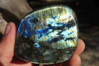 Polished Labradorite Standing Free Forms  x 5 From Tulear, Madagascar