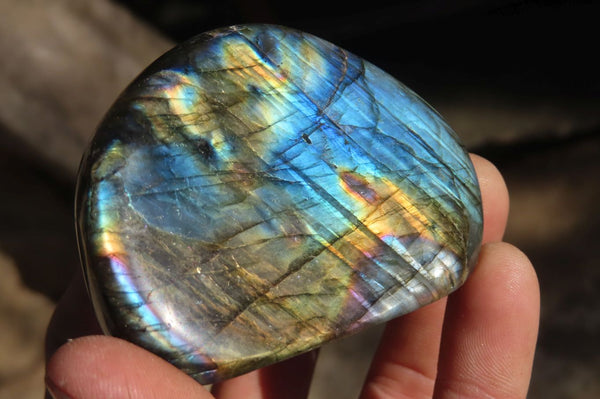 Polished Labradorite Standing Free Forms  x 5 From Tulear, Madagascar