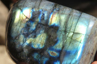 Polished Labradorite Standing Free Forms  x 5 From Tulear, Madagascar