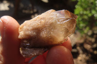 Natural Smokey Quartz Crystals x 35 From Luena, Congo