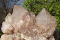 Natural Cascading Smokey Quartz Clusters x 2 From Luena, Congo