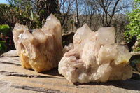 Natural Cascading Smokey Quartz Clusters x 2 From Luena, Congo