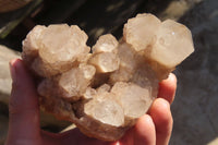 Natural Cascading Smokey Quartz Clusters x 2 From Luena, Congo