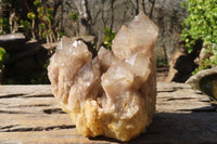 Natural Cascading Smokey Quartz Clusters x 2 From Luena, Congo