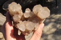 Natural Cascading Smokey Quartz Clusters x 2 From Luena, Congo