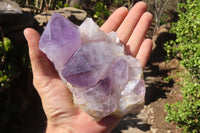 Natural Jacaranda Amethyst Clusters x 2 From Mumbwe, Zambia