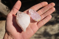 Natural Clear Amethyst & Smokey Brandberg Quartz Crystals x 12 From Brandberg, Namibia